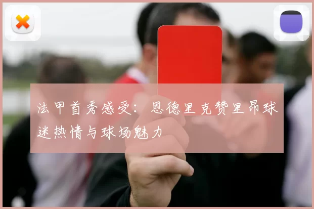 法甲首秀感受：恩德里克赞里昂球迷热情与球场魅力