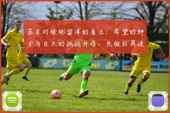 苏东对徐彬留洋的看法：希望的种子与巨大的挑战并存，先做好再追求完美